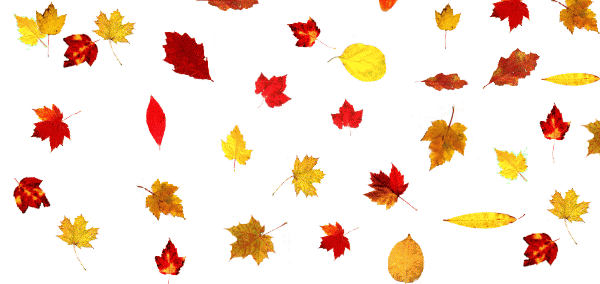 Happy Autumn!